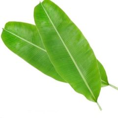 FRESH BANANA LEAF ( EACH )